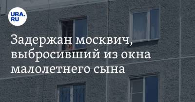 Задержан москвич, выбросивший из окна малолетнего сына - ura.news - Москва