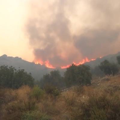 Лесной пожар перекинулся на ТЭЦ в турецкой провинции Мугла - radiomayak.ru - Turkey - провинция Анталья - провинция Мугла