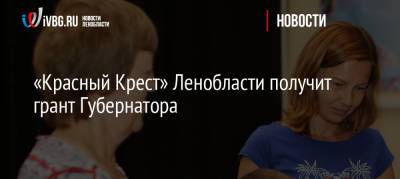 «Красный Крест» Ленобласти получит грант Губернатора - ivbg.ru - Россия - Украина - Ленинградская обл.