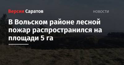 В Вольском районе лесной пожар распространился на площади 5 га - nversia.ru - Саратовская обл.