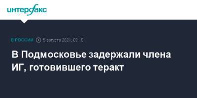 Ольга Врадий - В Подмосковье задержали члена ИГ, готовившего теракт - interfax.ru - Москва - Россия - Московская обл. - Московская область
