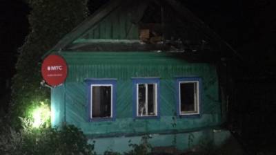 В Пензенской области при пожаре погиб ребенок - penzainform.ru - Россия - Пензенская обл.