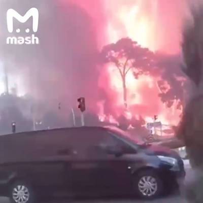 Лесной пожар на западе Турции достиг теплоэлектростанции - nakanune.ru - Турция - провинция Мугла
