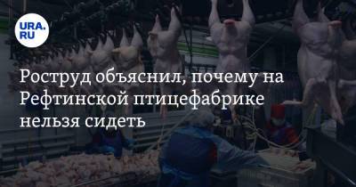 Роструд объяснил, почему на Рефтинской птицефабрике нельзя сидеть - ura.news - Свердловская обл.