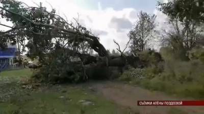 В Удмуртии ураганный ветер сильно повредил дома и производственные объекты на севере республики (ВИДЕО) - gorodglazov.com - респ. Удмуртия - район Ярский