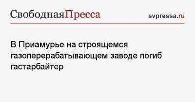 В Приамурье на строящемся газоперерабатывающем заводе погиб гастарбайтер - svpressa.ru - Амурская обл. - Казань
