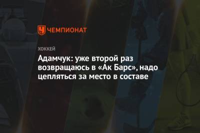 Адамчук: уже второй раз возвращаюсь в «Ак Барс», надо цепляться за место в составе - championat.com - Альметьевск