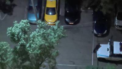 Людмила Нефедова - Появились фото с улицы Шумилова, где мужчина выбросил своего сына из окна - vm.ru - Москва