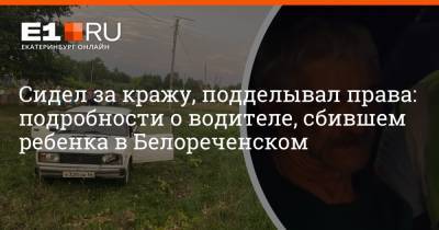 Сидел за кражу, подделывал права: подробности о водителе, сбившем ребенка в Белореченском - e1.ru - Россия - Екатеринбург - Белореченск