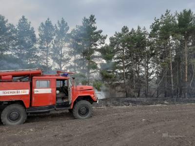 Полторы тысячи раз в Липецкой области горела сухая трава - lipetskmedia.ru - Липецкая обл.