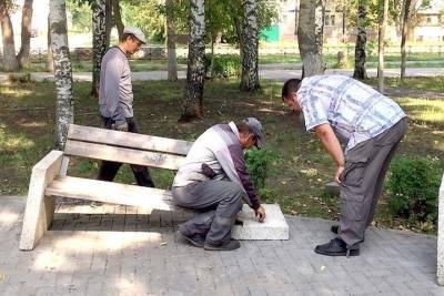 Разгромивших парк в Новомичуринске вандалов задержала полиция - rzn.mk.ru - Рязанская обл. - Новомичуринск