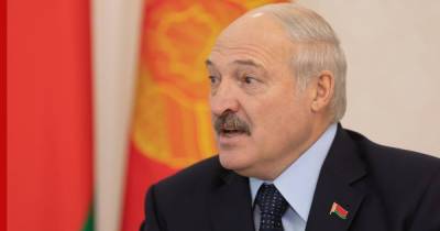 Александр Лукашенко - Лукашенко поручил заблокировать границу с Белоруссией от мигрантов - profile.ru - Белоруссия - Польша - Литва