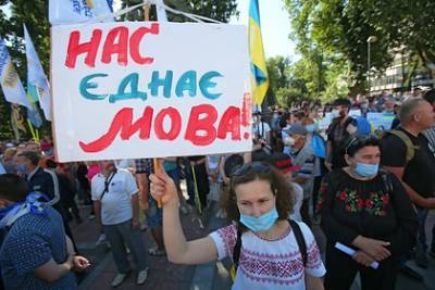 Лариса Ницой - На Украине закон о языке посчитали «волшебным пенделем» для русскоговорящих - lenta.ru - Украина
