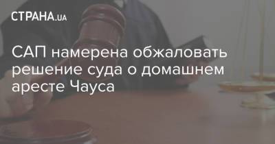 Николай Чаус - САП намерена обжаловать решение суда о домашнем аресте Чауса - strana.ua - Украина