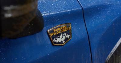 Subaru превратит Forester в "злой" внедорожник - focus.ua - Украина
