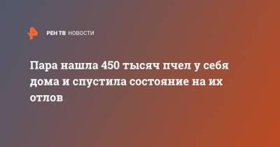 Пара нашла 450 тысяч пчел у себя дома и спустила состояние на их отлов - ren.tv - США - USA - шт.Пенсильвания