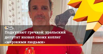 Подкупают гречкой: уральский депутат назвал своих коллег «мерзкими людьми» - ridus.ru - Россия - Свердловская обл.