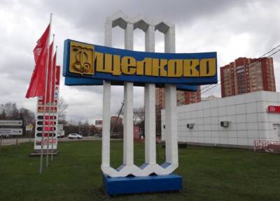 Бизнесмен в подмосковном Щелково случайно убил приятеля на поминках кота - province.ru
