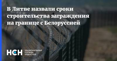 В Литве назвали сроки строительства заграждения на границе с Белоруссией - nsn.fm - Белоруссия - Литва