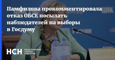 Элла Памфилова - Памфилова прокомментировала отказ ОБСЕ посылать наблюдателей на выборы в Госдуму - nsn.fm - Россия