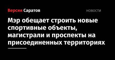 Михаил Исаев - Мэр обещает строить новые спортивные объекты, магистрали и проспекты на присоединенных территориях - nversia.ru