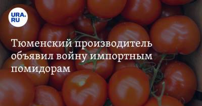 Тюменский производитель объявил войну импортным помидорам - ura.news - Тюменская обл. - район Тюменский