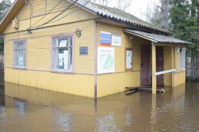 Петербург может уйти под воду через 10 лет - neva.today - Санкт-Петербург - Архангельск