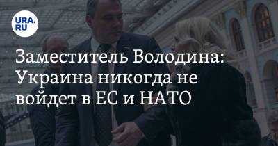 Владимир Зеленский - Петр Толстой - Заместитель Володина: Украина никогда не войдет в ЕС и НАТО - ura.news - Россия - Украина