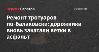 Ремонт тротуаров по-балаковски: дорожники вновь закатали ветки в асфальт - nversia.ru