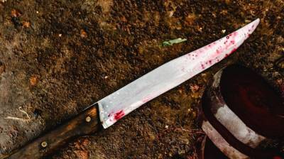 В Воронеже поселившийся под балконом 16-этажки бомж ударил ножом женщину - vestivrn.ru - Воронеж - Тульская обл.