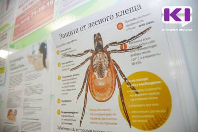 В Коми жертвами клещей стали почти три тысячи человек - komiinform.ru - респ. Коми