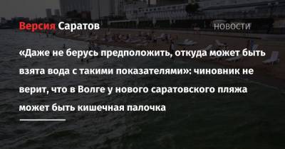 «Даже не берусь предположить, откуда может быть взята вода с такими показателями»: чиновник не верит, что в Волге у нового саратовского пляжа может быть кишечная палочка - nversia.ru - Саратов