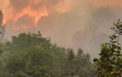 В Северной Македонии бушуют лесные пожары - korrespondent.net - Украина - Болгария - Словения - Сербия - Македония