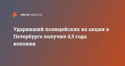 Ударивший полицейских на акции в Петербурге получил 4,5 года колонии - ren.tv - Санкт-Петербург