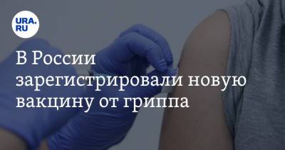 Вероника Скворцова - В России зарегистрировали новую вакцину от гриппа - ura.news - Россия