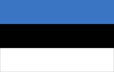 Дмитрий Стешин - Дмитрий Стешин: "Эстонии нужно следить за своей независимостью, пока она есть" - actualnews.org - Москва - Норвегия - Россия - США - Англия - Франция - Эстония - Апсны - респ. Южная Осетия - Ирландия - Албания