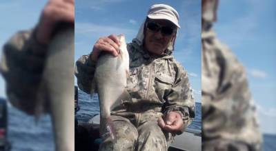 Заядлый рыбак раскрыл секрет быстрого и вкусного копчения рыбы и сала - pg21.ru - респ. Чувашия