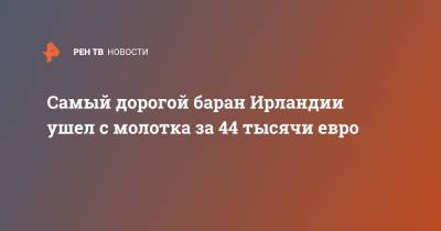 Самый дорогой баран Ирландии ушел с молотка за 44 тысячи евро - ren.tv - Ирландия