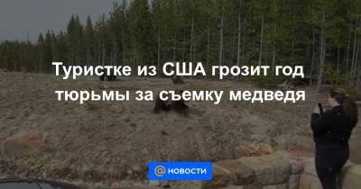 Туристке из США грозит год тюрьмы за съемку медведя - news.mail.ru - USA - шт. Иллинойс - штат Вайоминг