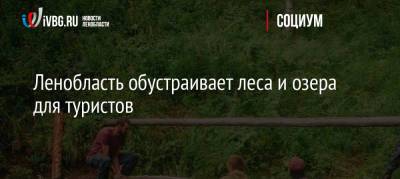 Ленобласть обустраивает леса и озера для туристов - ivbg.ru - Украина - Ленинградская обл.