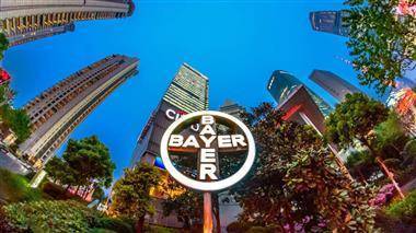 Bayer отчитался о неплохих результатах за 2 квартал - smartmoney.one