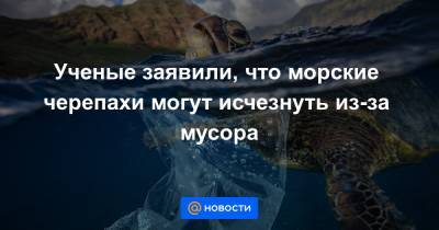 Ученые заявили, что морские черепахи могут исчезнуть из-за мусора - news.mail.ru - Австралия