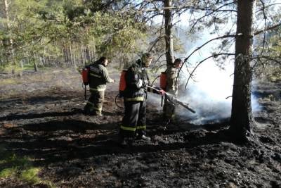 Пожар в Кологривском лесу постепенно отступает - kostroma.mk.ru