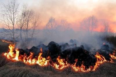Ростуризм призвал россиян в Греции быть бдительными из-за пожаров - pnp.ru - Россия - Греция