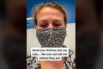 Авиакомпания потеряла котов пассажирки при перевозке и забыла извиниться - lenta.ru - Лос-Анджелес - Нью-Йорк