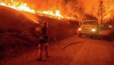 Природный пожар в Калифорнии охватил площадь более 110 тыс. гектаров - trend.az - США - шт. Калифорния