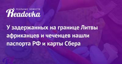 Александр Бикантов - У задержанных на границе Литвы африканцев и чеченцев нашли паспорта РФ и карты Сбера - readovka.news - Россия - Литва