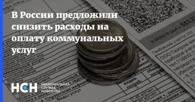 В России предложили снизить расходы на оплату коммунальных услуг - nsn.fm - Россия
