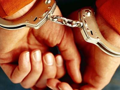 Чехия выдала России бизнесмена, обвиняемого в крупном мошенничестве - vinegret.cz - Россия - Чехия - Прага