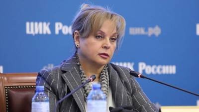Элла Памфилова - Памфилова рассказала о кампании по дискредитации выборов в России - vm.ru - Россия